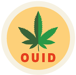 Algospeak Ouid