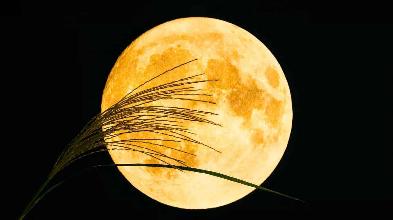 Moon Watching festival