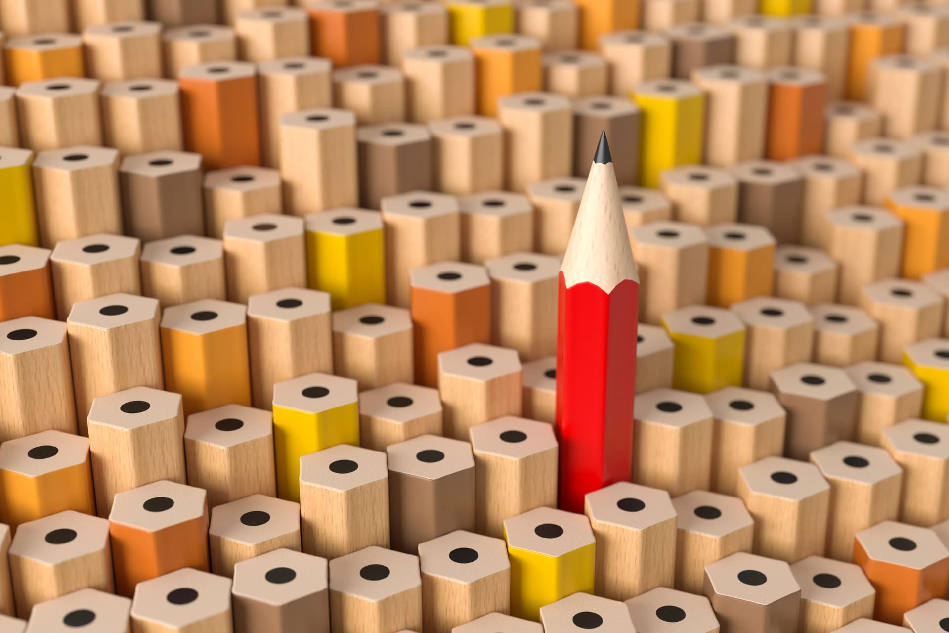 Specialization in the Translation Industry