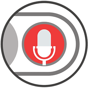 The Rise of Voice Search in Japan