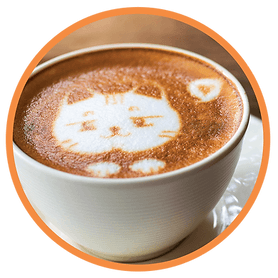 What about cat cafés?