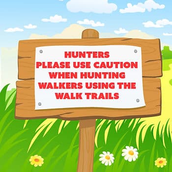 grammar errors