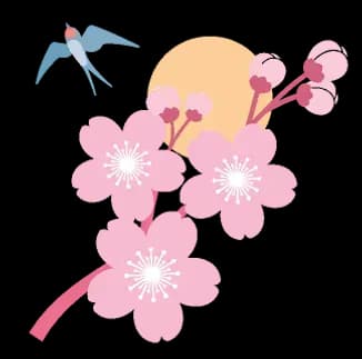 Cherry Blossom