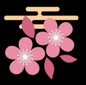 Cherry Blossom