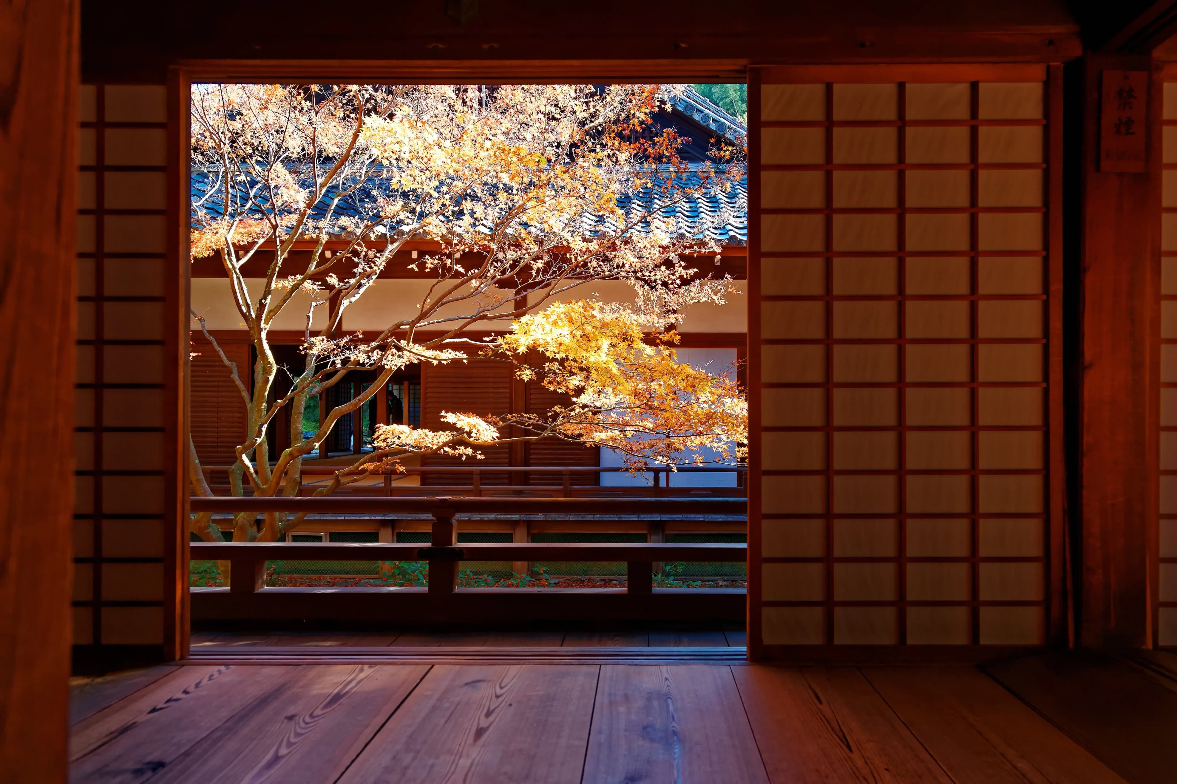The Impact of Japanese Minimalism on Global Design Trends