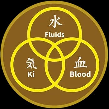 Qi Flow