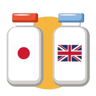 back translation