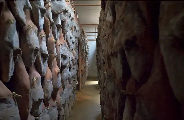 Inside one of Oteiza's drying facilities in les Aldudes Kintoa pig
