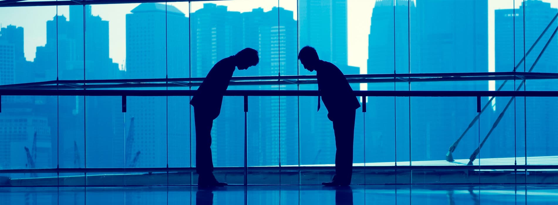 CCI France Japon Banner