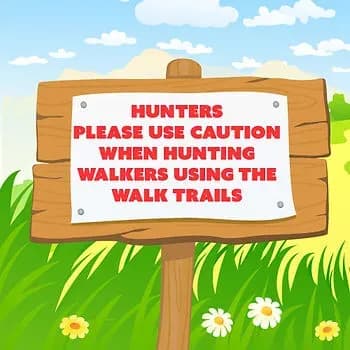 grammar errors